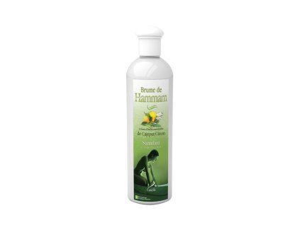 lemon 500x800